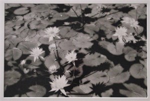 Image description is not available for 2004.008